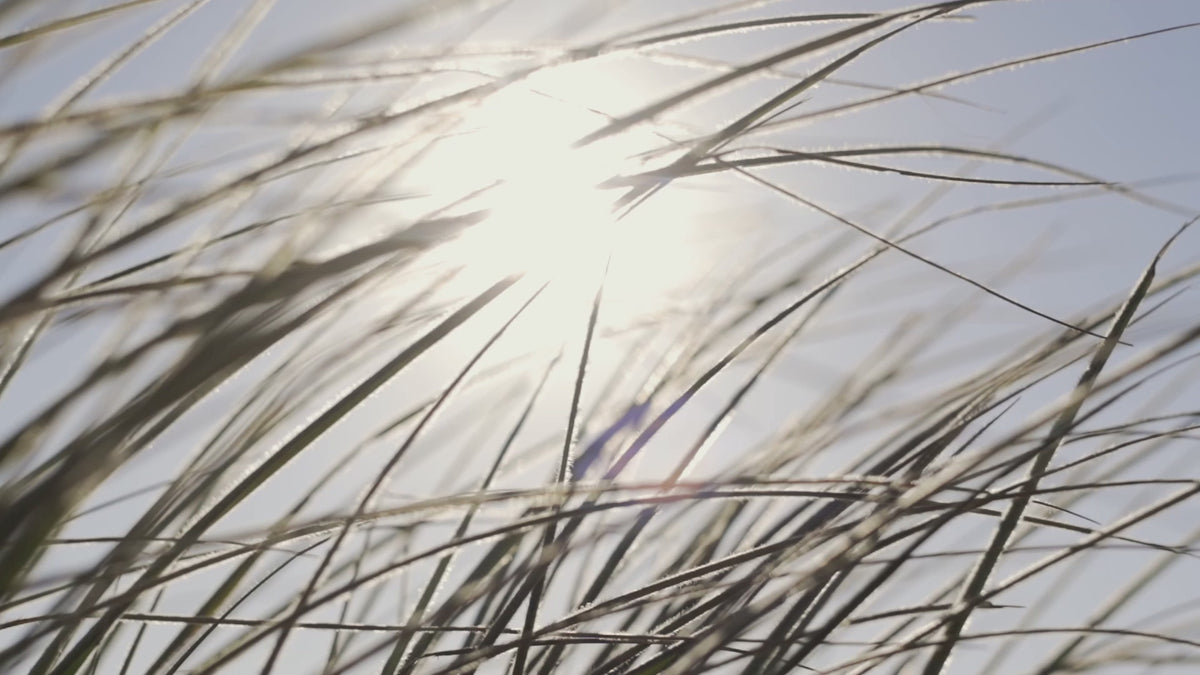 KOIKKI fragrance brand film
